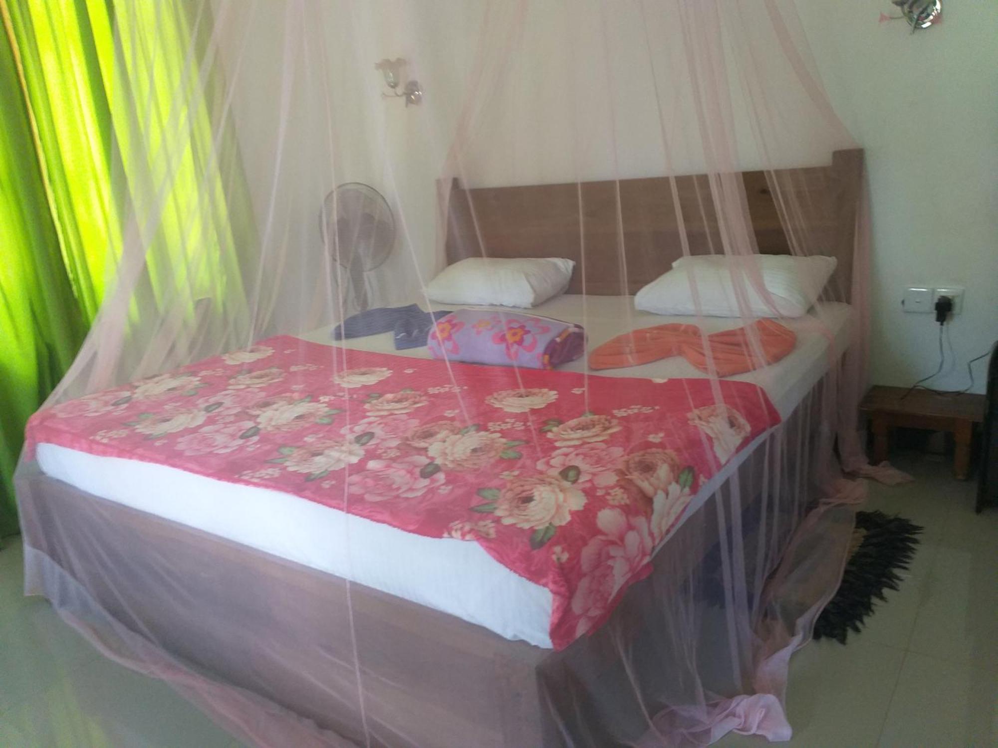 Nine Arch Araliya Homestay Елла Екстер'єр фото