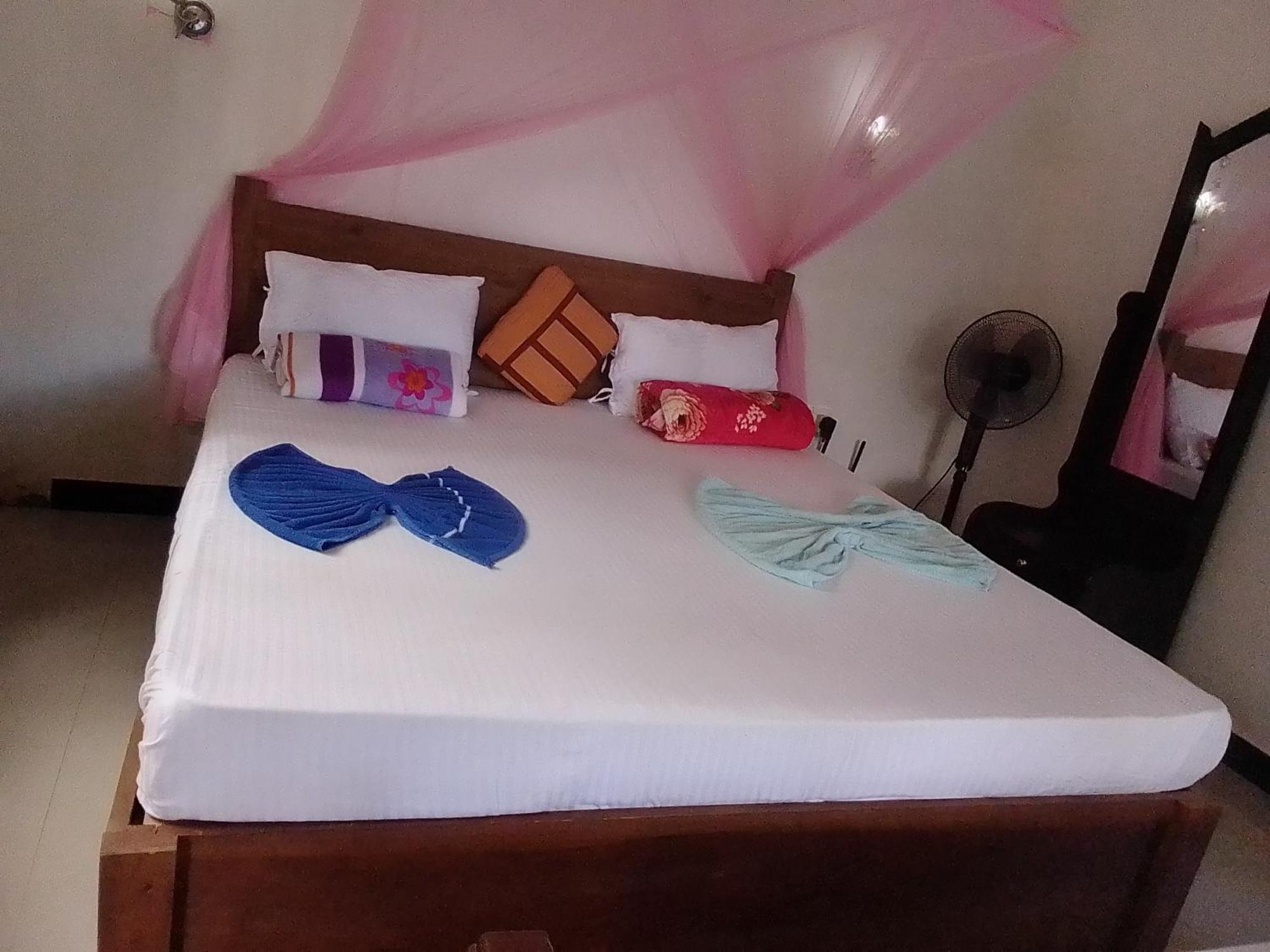 Nine Arch Araliya Homestay Елла Екстер'єр фото
