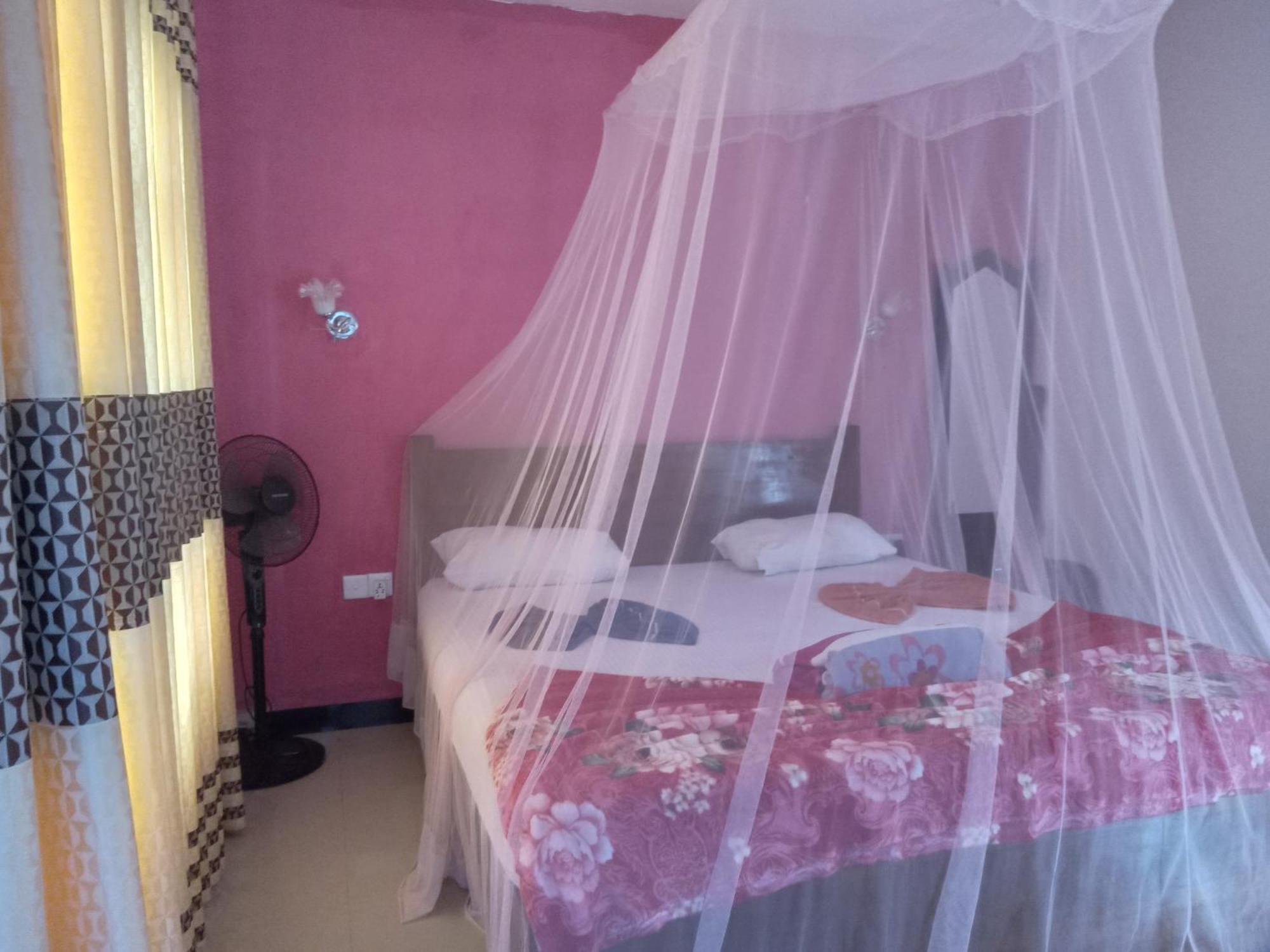 Nine Arch Araliya Homestay Елла Екстер'єр фото