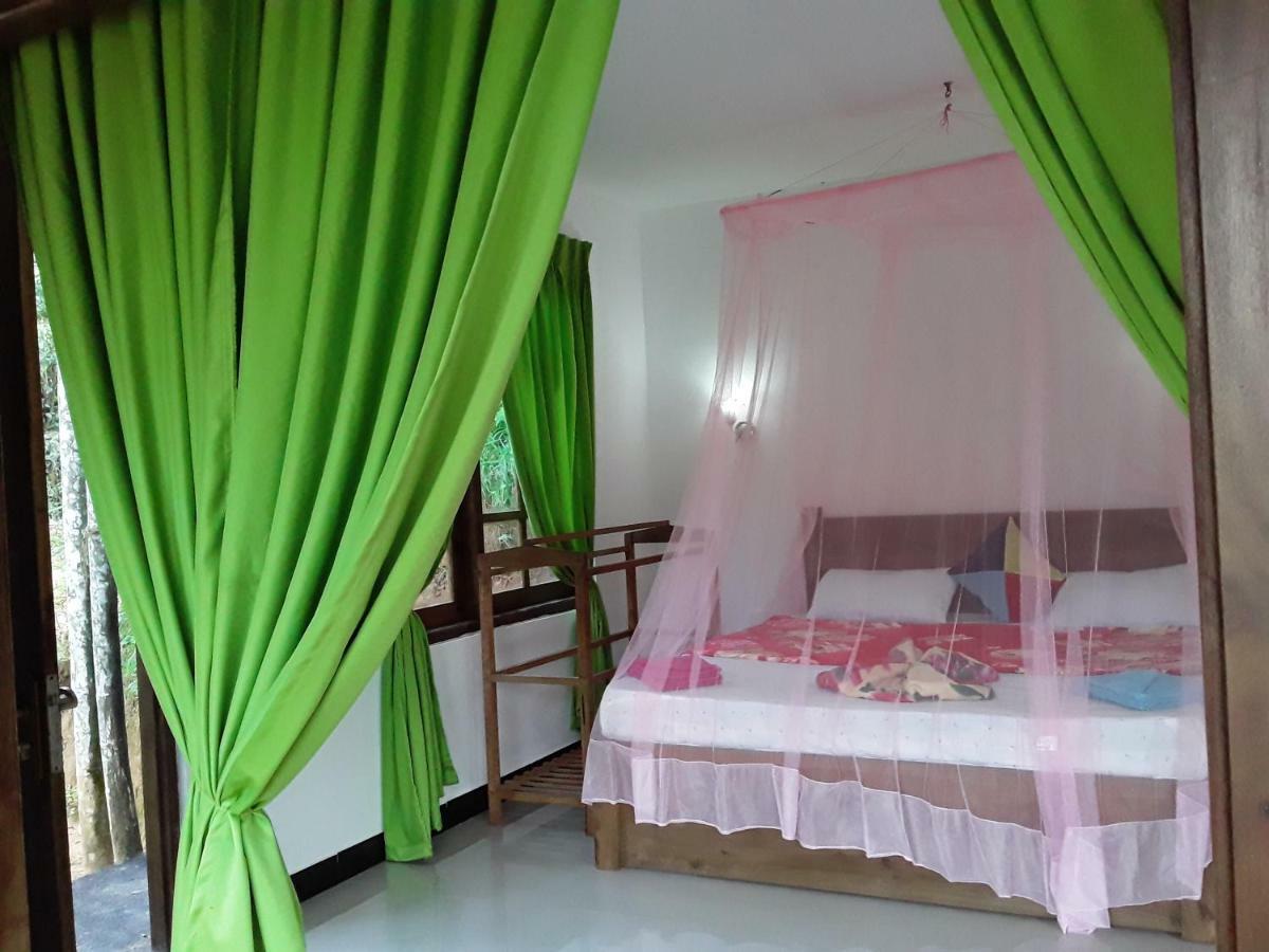 Nine Arch Araliya Homestay Елла Екстер'єр фото